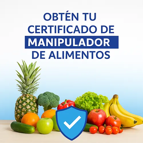 Certificado y carnet de manipulador de alimentos en Xàtiva, Ontinyent, Alzira, Carcaixent y pueblos cercanos